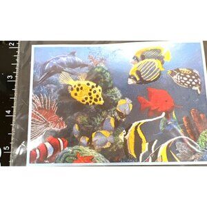 Dimensions Gallery Crewel Fish Haven Embroidery Kit  7" x 5"